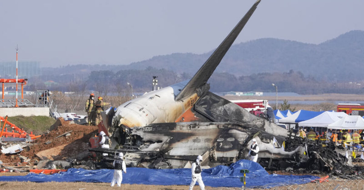 Güney Kore’deki uçak kazasının ardından sıkı havacılık güvenliği denetimleri uygulanacak